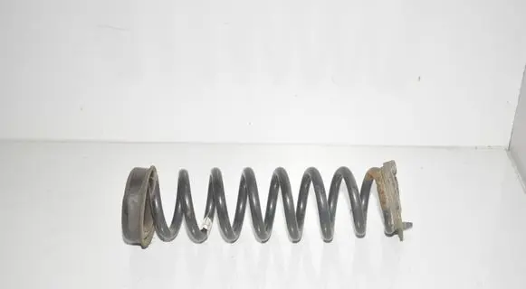 Rear coil spring