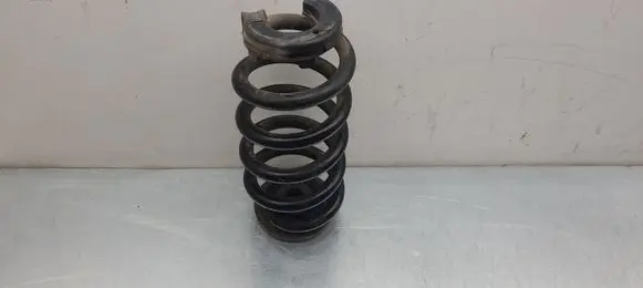 Skoda Enyaq iV Rear coil spring 1EA512149