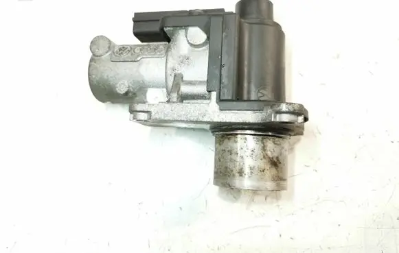 Volkswagen Golf V EGR valve 03G131501D 06T153 70067806