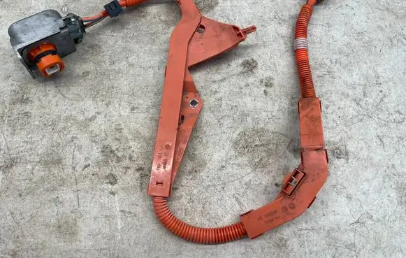 Toyota RAV 4 (XA50) Other wiring loom 821H233020