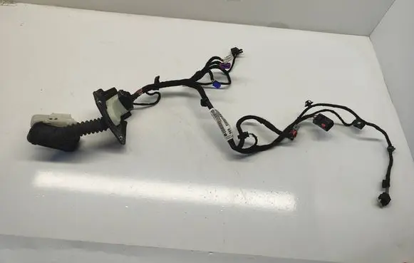 Front door wiring loom