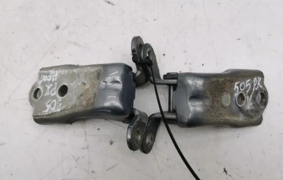 Opel Antara Front door hinges set 11KO7