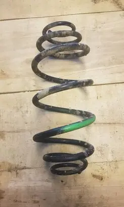 Rear coil spring