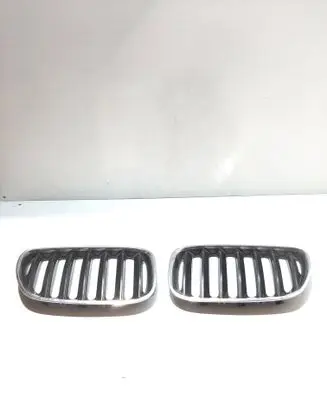 BMW X5 E53 Front bumper upper radiator grill 7124816 7124815