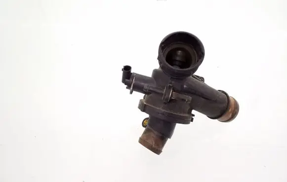 Thermostat/thermostat housing