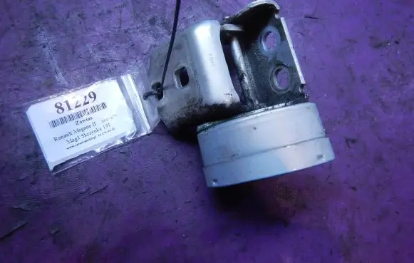 Renault Megane II Front door lower hinge 