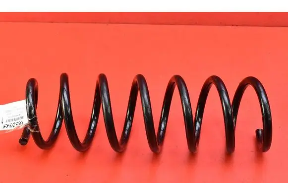Front coil spring