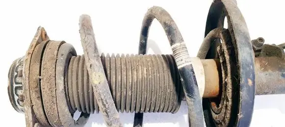 Opel Insignia B Front coil spring ACBS