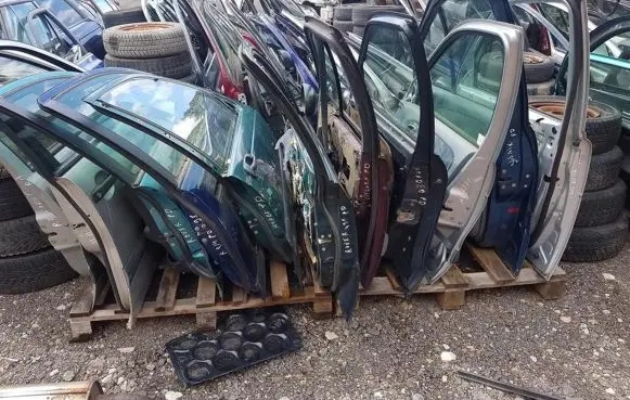 Renault Megane I Front door