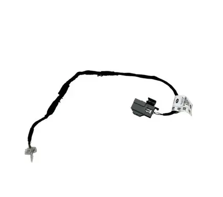 Front door wiring loom
