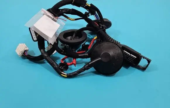 Rear door wiring loom