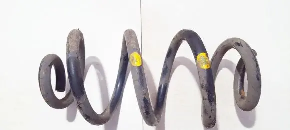 Rear coil spring