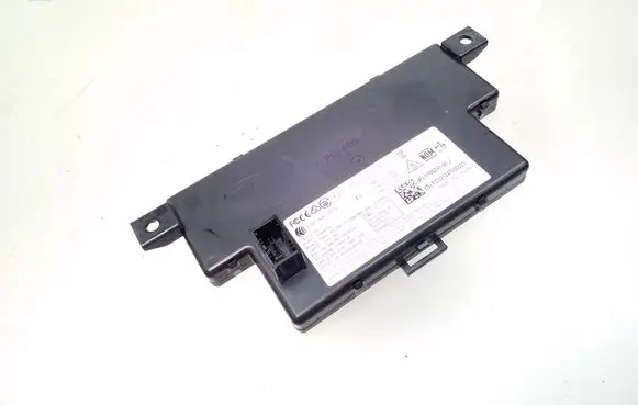Tesla Model Y Door central lock control unit/module 110024100J