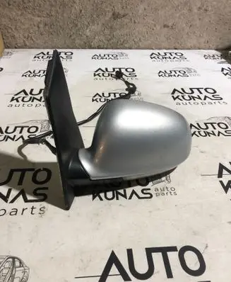 Volkswagen Golf Plus Front door electric wing mirror 076013