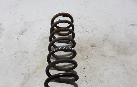Rear coil spring