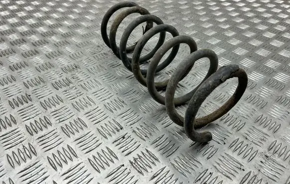 Rear coil spring