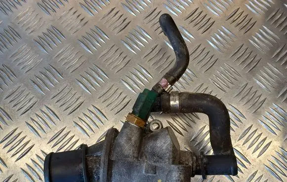 Thermostat/thermostat housing