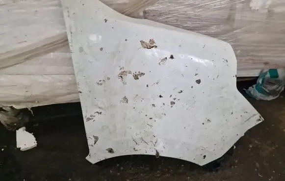 Opel Movano B Fender