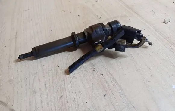Peugeot 307 Fuel injector 9636819380