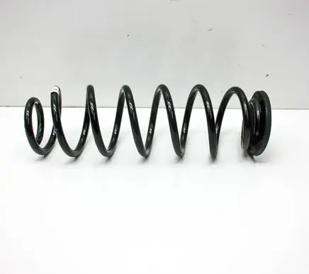 Rear coil spring