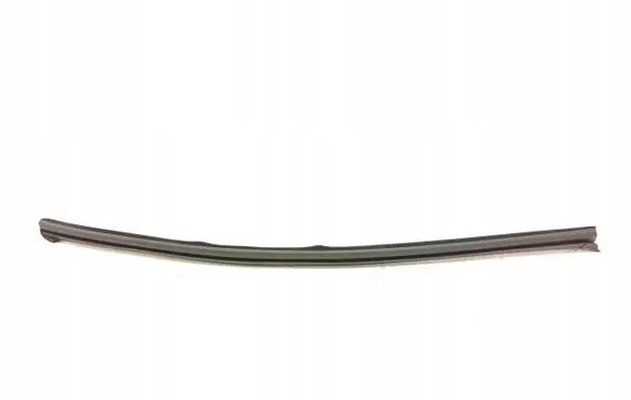 KIA Optima Front door rubber seal 82231D4000