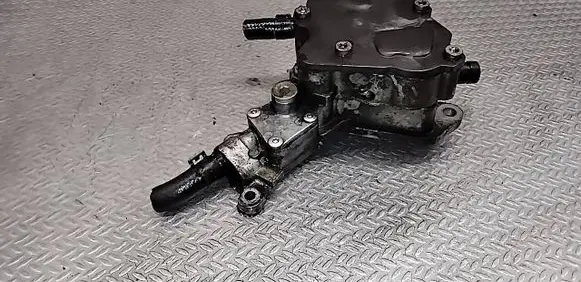 Volkswagen Golf Plus Vacuum pump 038145209K