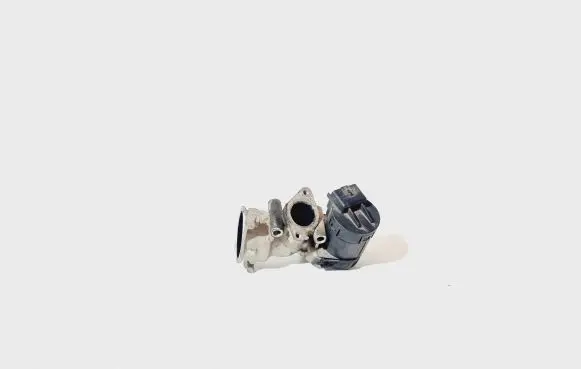 EGR valve