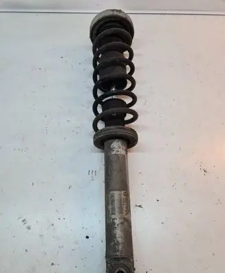 Rear shock absorber/damper