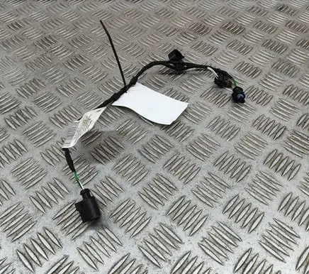 Cupra Born Other wiring loom 1EA971658A