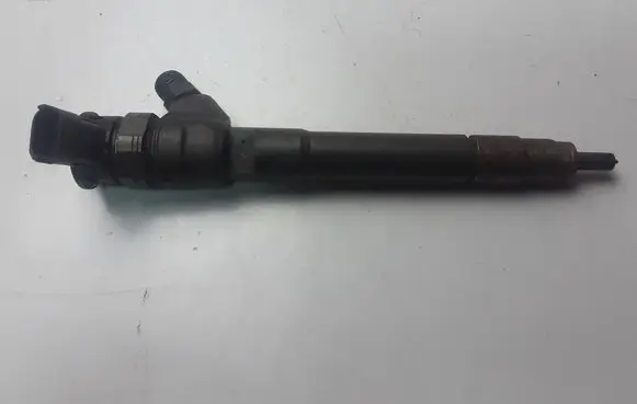 Renault Scenic III - Grand scenic III Fuel injector 0445110414