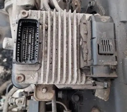 Opel Astra G Engine control unit/module 12212819 d01011