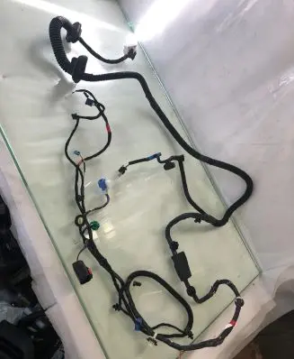 Tesla Model Y Front door wiring loom 161667804b