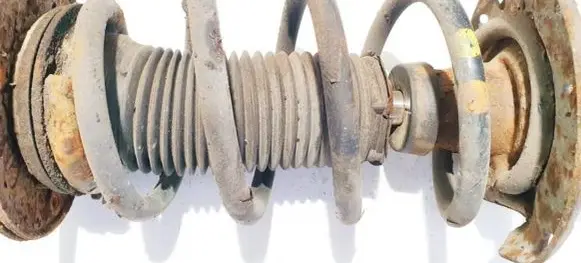 Front coil spring
