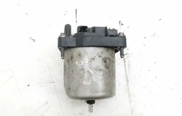 Peugeot 508 Fuel filter 
