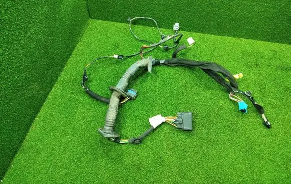 Front door wiring loom