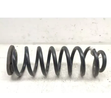 Volkswagen Tiguan Rear coil spring 299