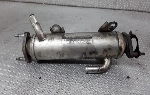 Chevrolet Captiva EGR valve cooler 96817829