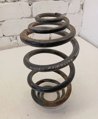 Rear coil spring