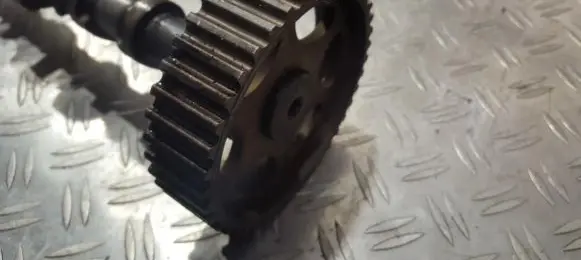 Camshaft pulley/ VANOS