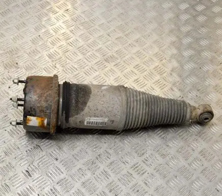 Jaguar XJ X40 Rear shock absorber/damper F308609101