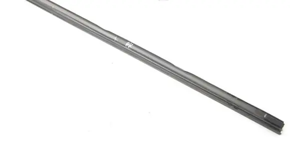 Ford Ecosport Front door glass trim molding 