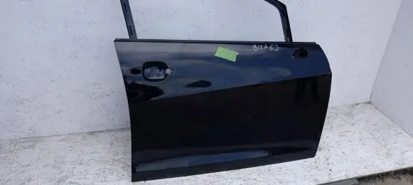 Seat Ibiza IV (6J,6P) Front door
