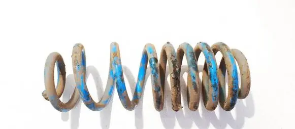 Rear coil spring
