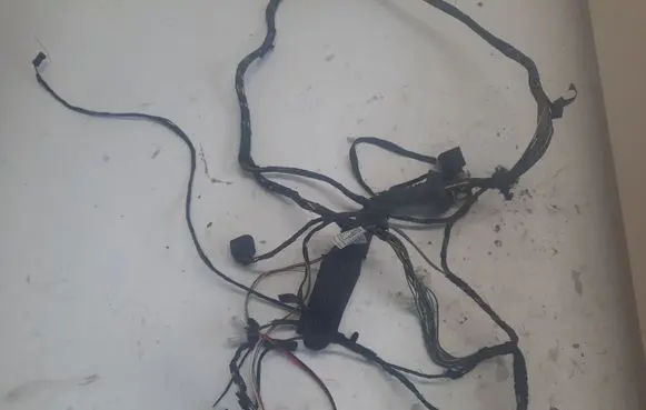 BMW X6 E71 Rear door wiring loom 920786203