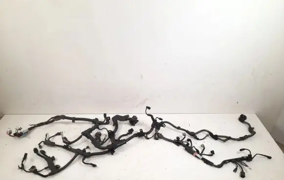 Engine installation wiring loom