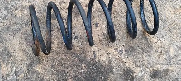 Rear coil spring
