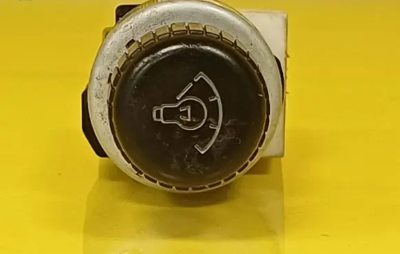 Toyota RAV 4 (XA10) Panel lighting control switch 