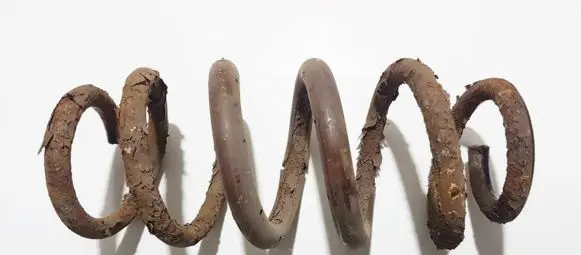 Toyota RAV 4 (XA30) Rear coil spring