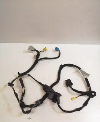 Front door wiring loom