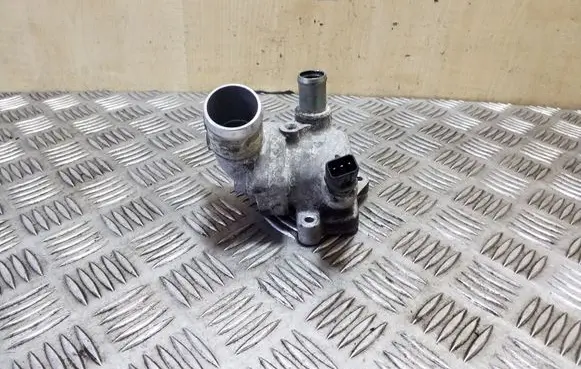 Thermostat/thermostat housing